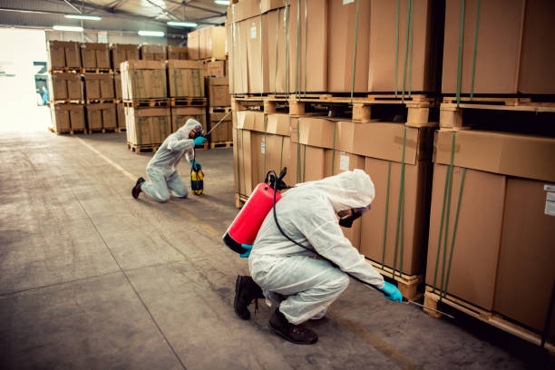 Best Best Pest Control Companies  in Ogdensburg, NY