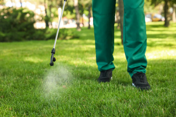 Best Best Pest Control Companies  in Ogdensburg, NY