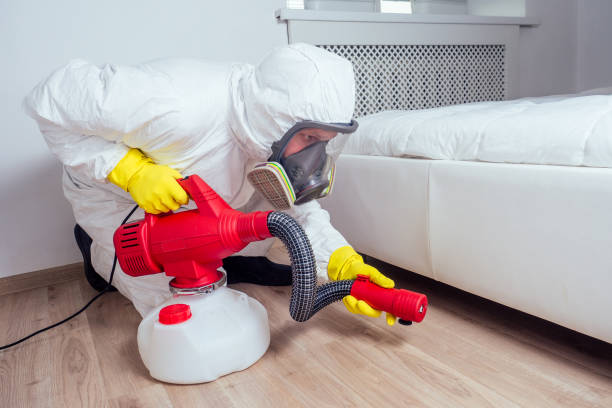 Best Pest Control for Restaurants  in Ogdensburg, NY