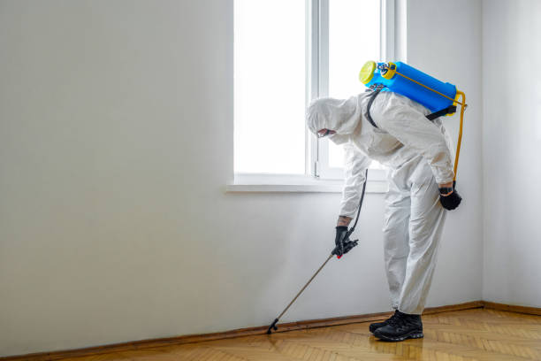Best Best Pest Control Companies  in Ogdensburg, NY