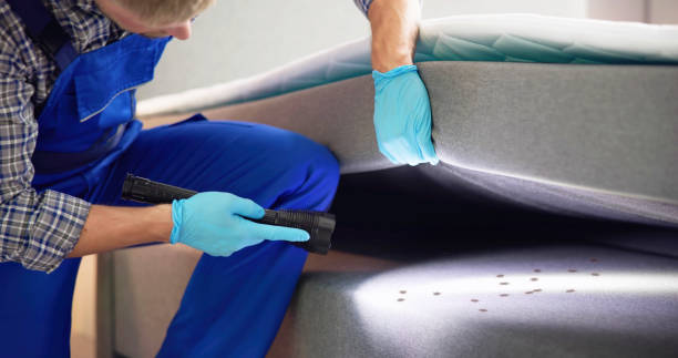  Ogdensburg, NY Pest Control Pros