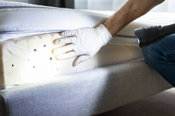 Best Pest Control Treatment  in Ogdensburg, NY