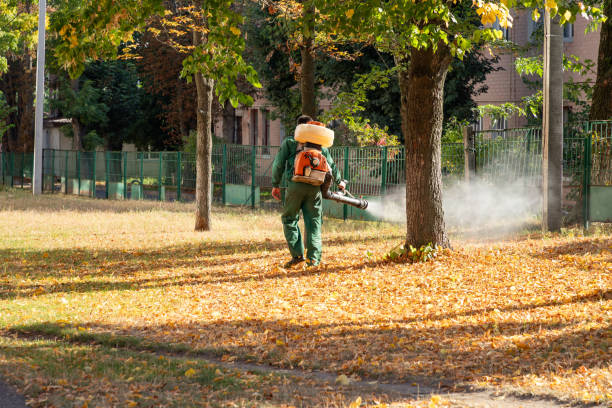 Best Ant Control Services  in Ogdensburg, NY