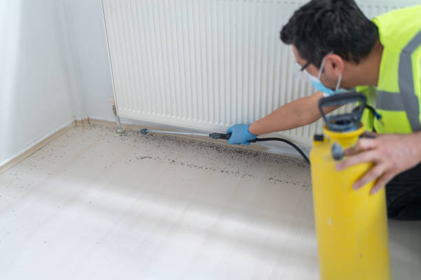 Best Rat Extermination Near Me  in Ogdensburg, NY